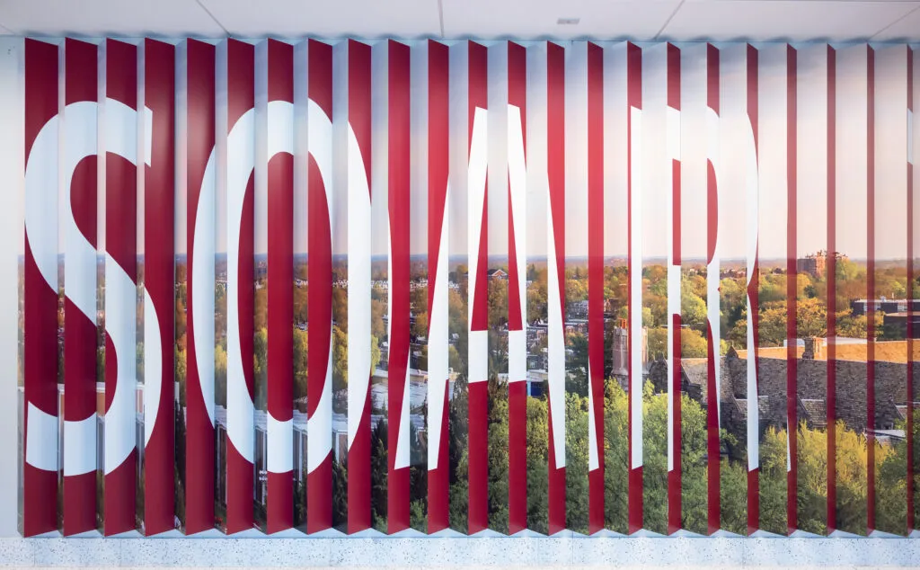 Straight on shot of wall, showing half type and half skyline